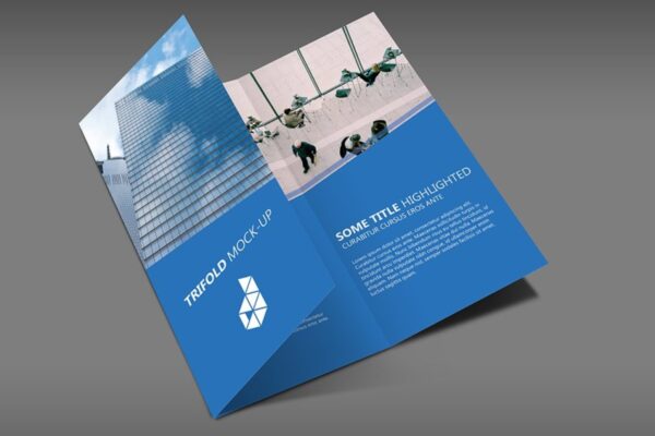 Tri-Fold Brochure